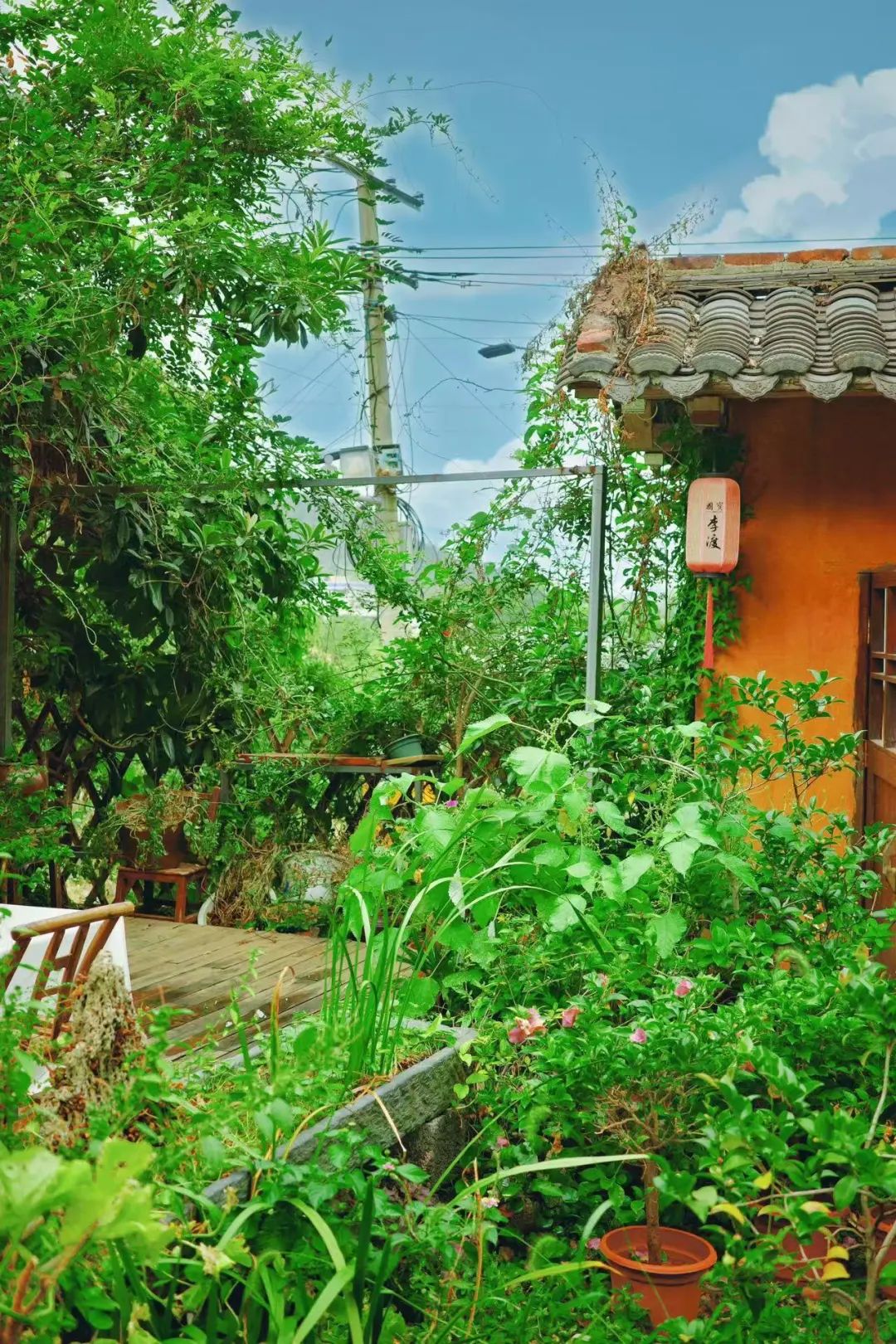 DƬ